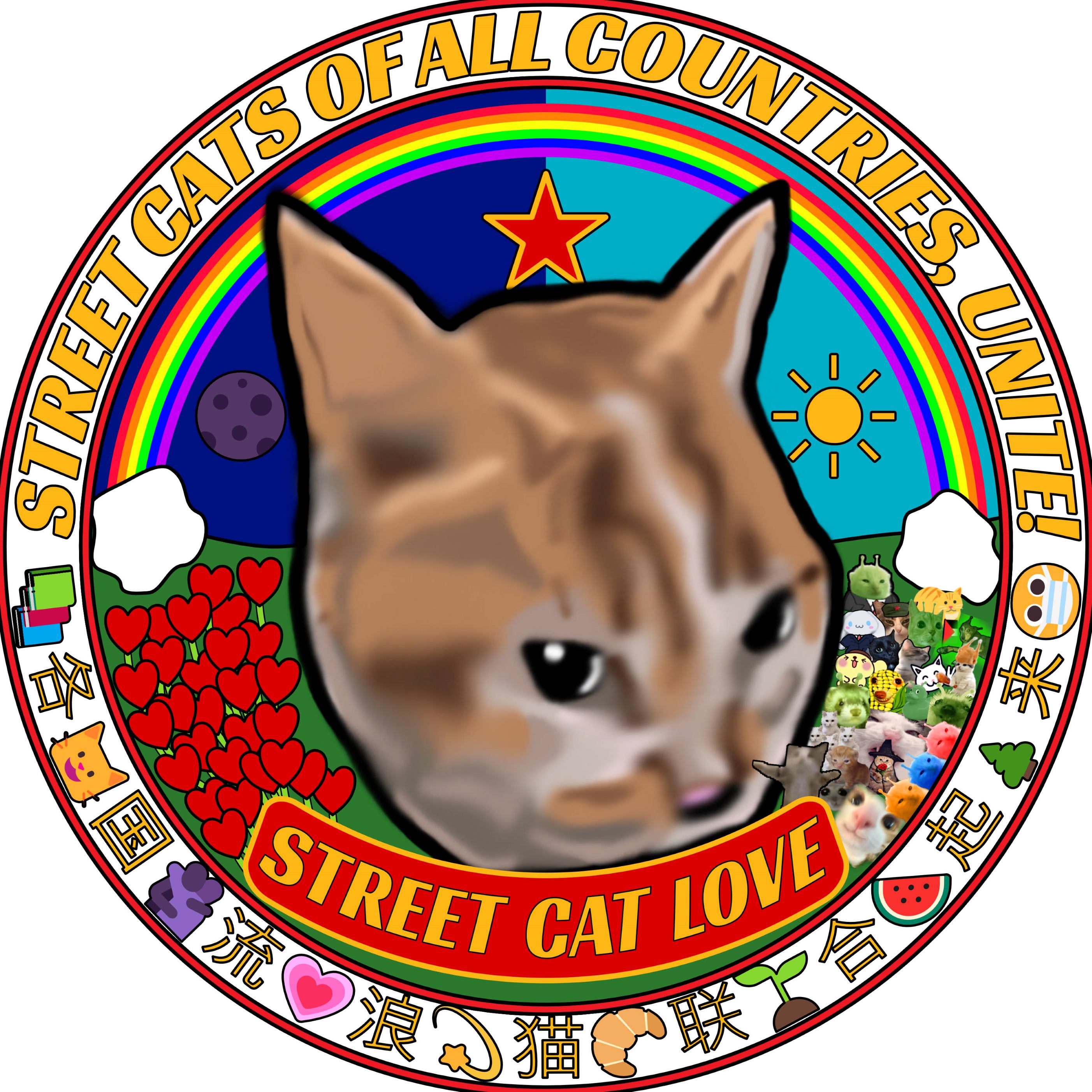 Street Cat Photo Blog